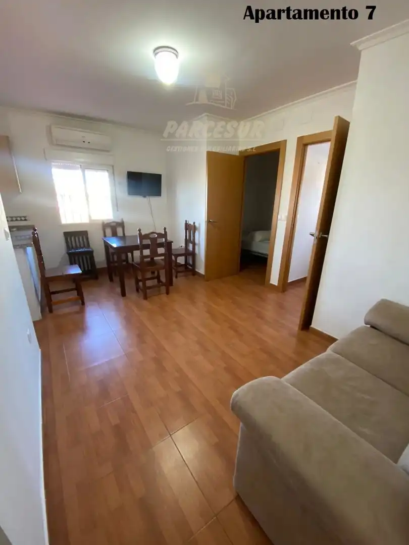 Living room of Apartments for rent in Córdoba  with Furnished