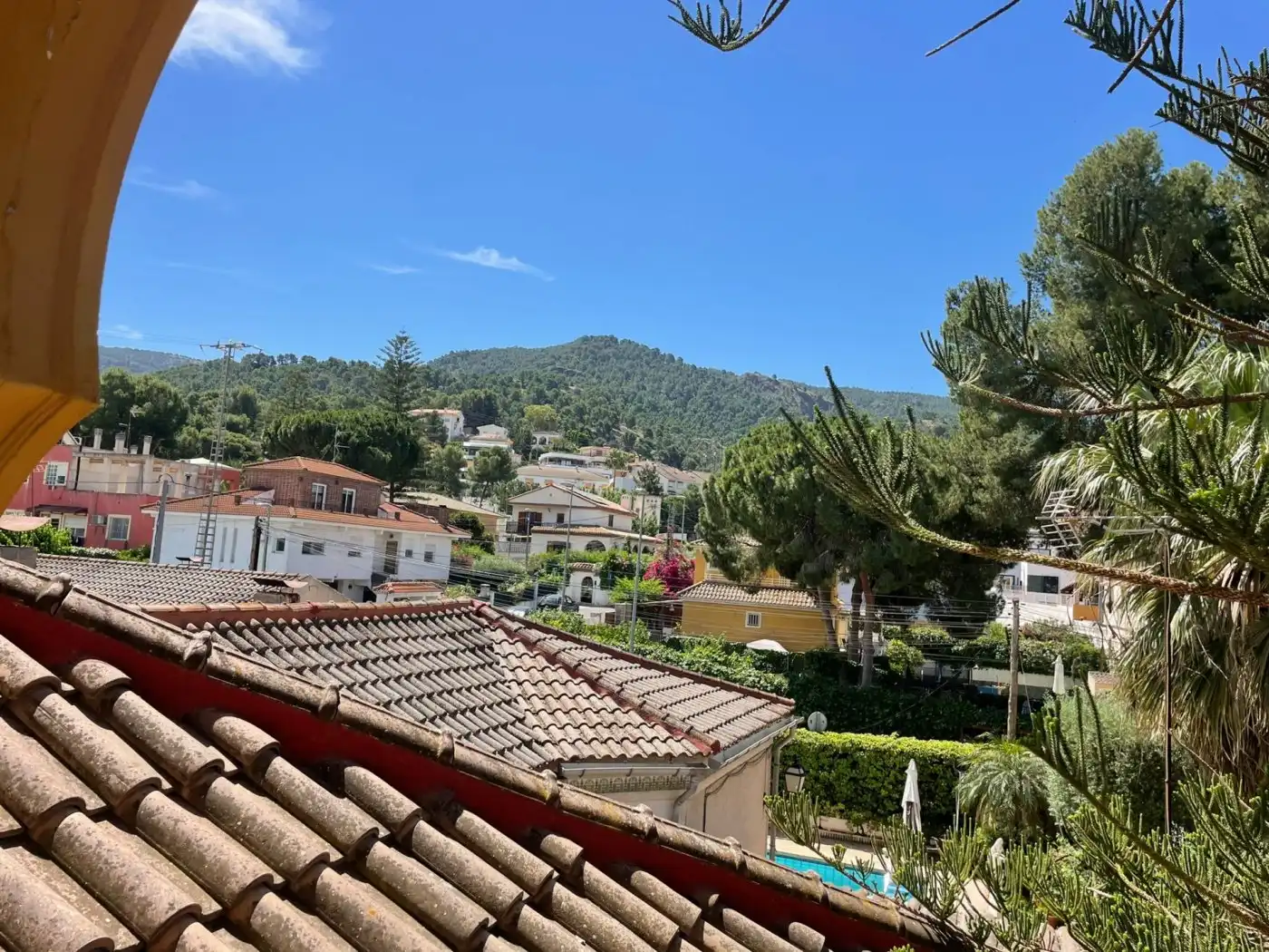 Vista exterior de Casa o chalet en venta en Murcia con Piscina y Amueblado