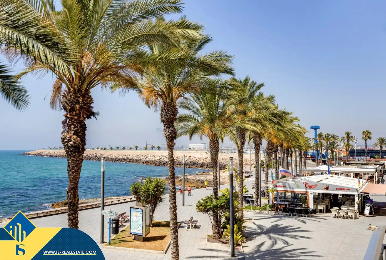 Estudio con ascensor en venta en Playa de los Locos, imagen 18