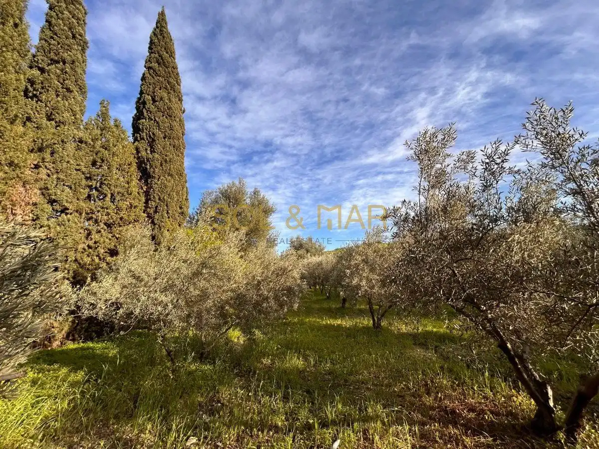 Casa rústica en venta en Nueva Aljaima - Las Tres Leguas - Los Mondeños, imagen 41