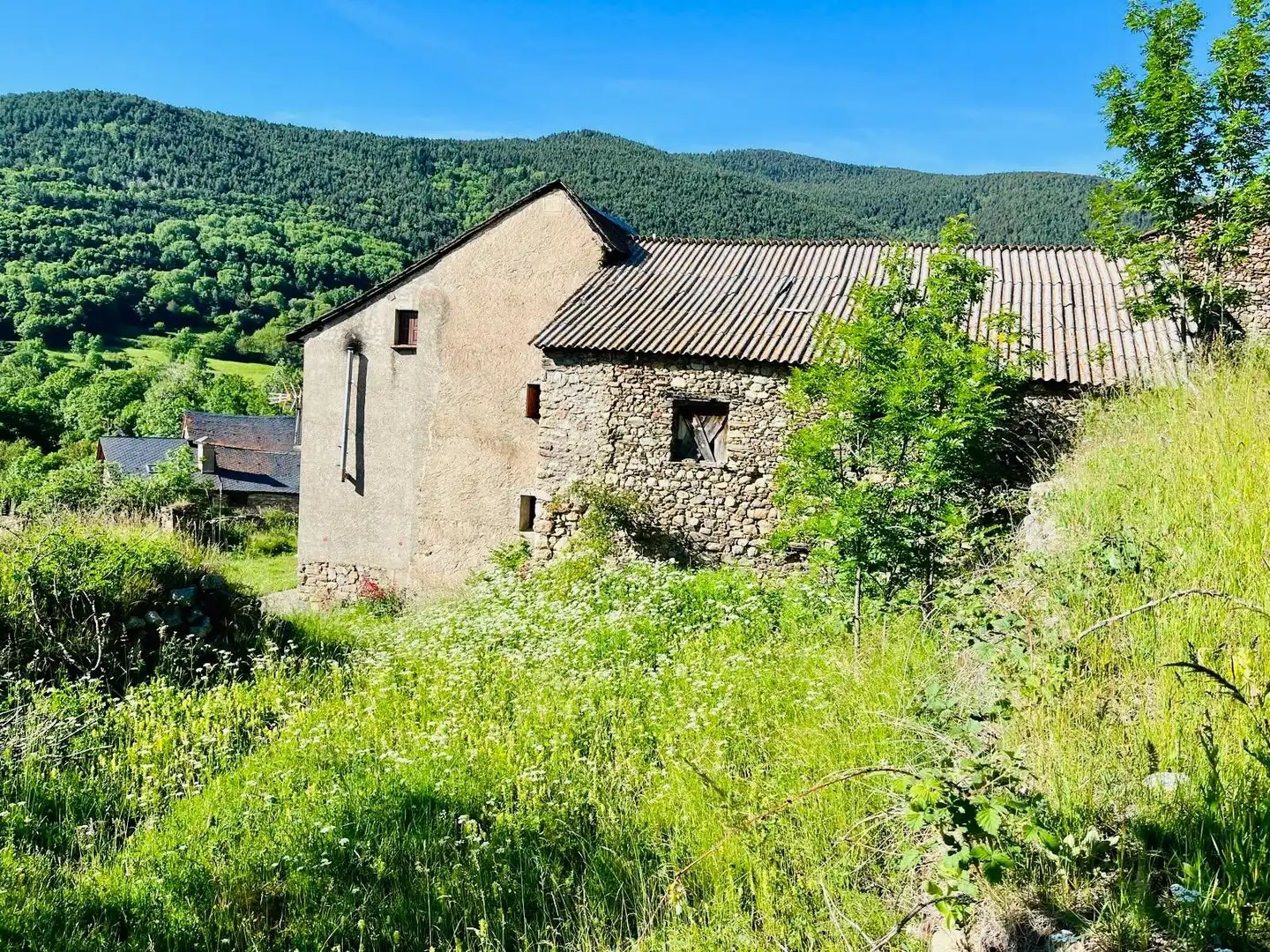Casa rústica en venta en Alt Àneu, imagen 4