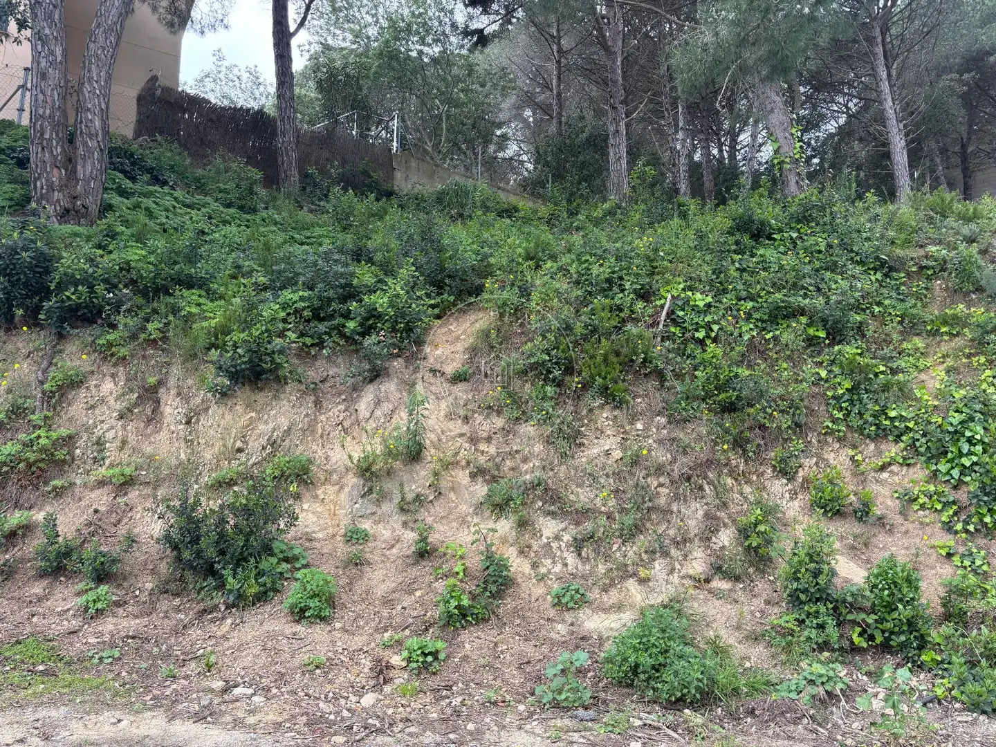 Grundstücke und Bauplätze zum Verkauf in Serra Brava, imagen 9