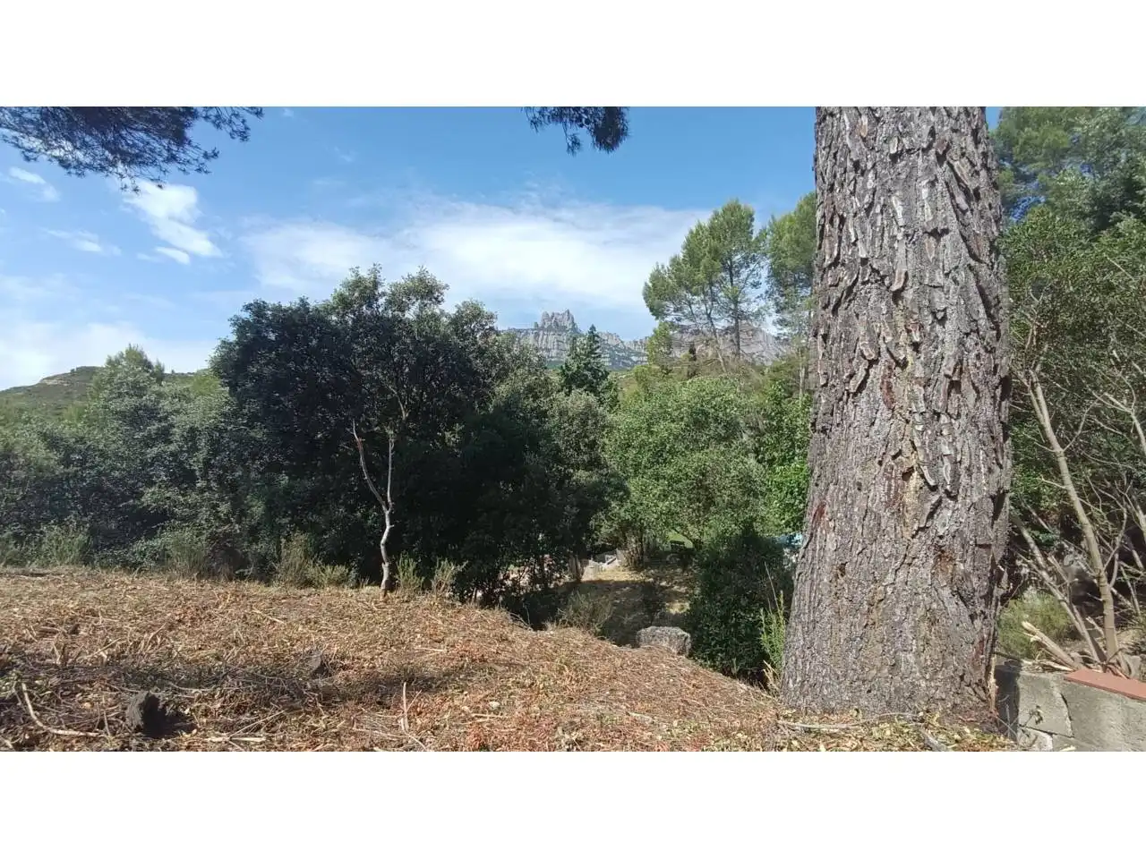 Rural land for sale in Vacarisses, imagen 30