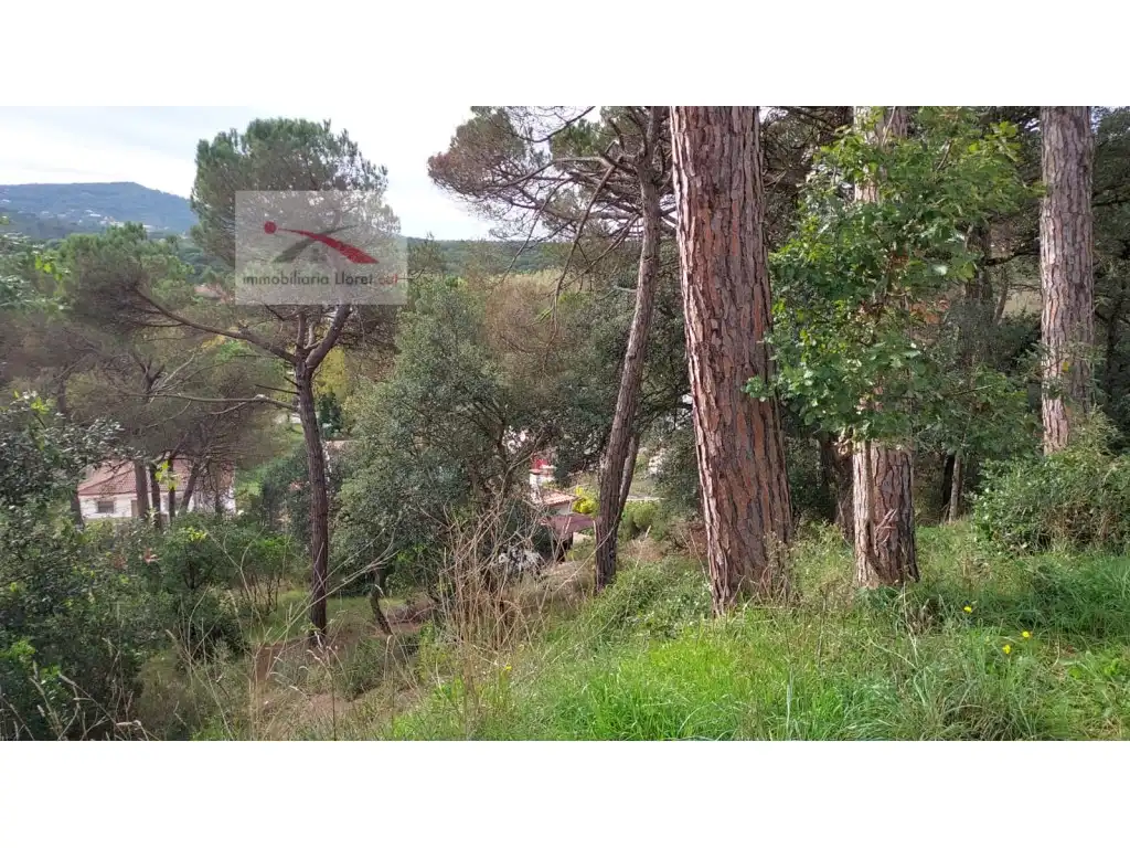 Terreny residencial en venda a Carrer del Puig Colomer 116