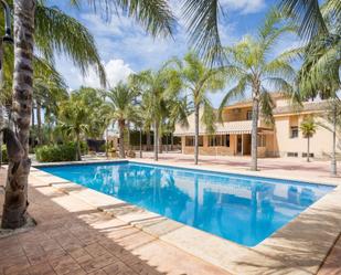 Swimming pool of House or chalet for sale in Elche / Elx  with Air Conditioner, Private garden and Terrace