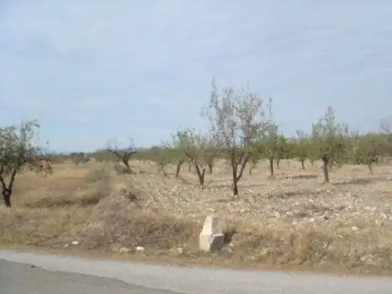 Terrain rustique à vendre à Huércal-Overa, imagen 3