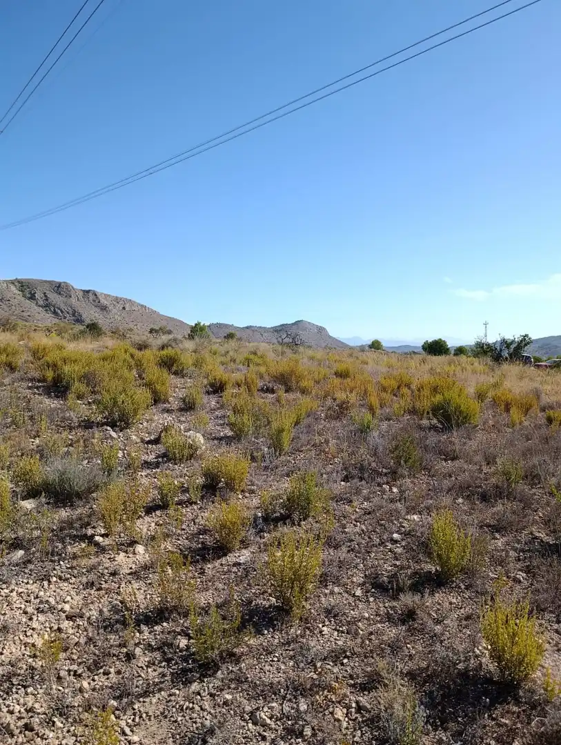 Terreno rustico in vendita a Hondón de las Nieves / El Fondó de les Neus, imagen 24