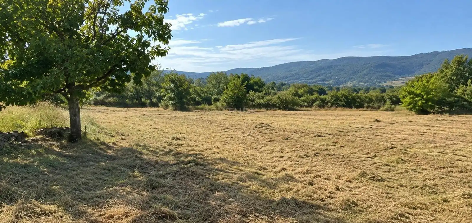 Terreno rustico in vendita a Paraje Alisadilla, 8, 10700 Hervás, Cáceres, Spain Polígono 9 Parcela 196, imagen 2