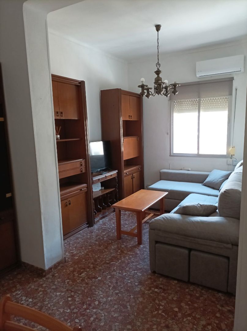 Living room of Flat to rent in Málaga Capital  with Air Conditioner, Heating and Furnished