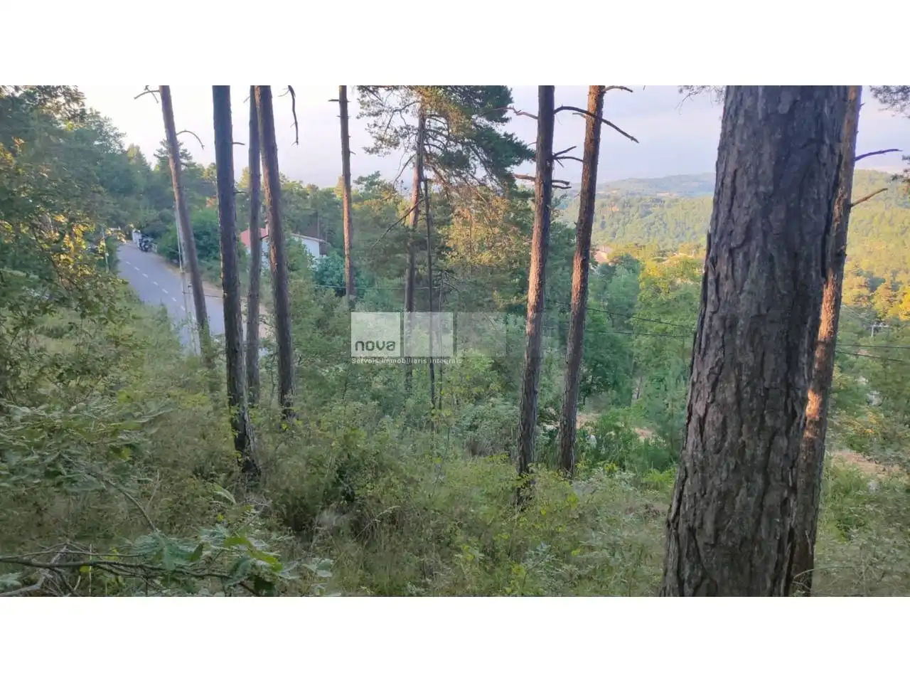 Wohnbaugrundstück zum Verkauf in Muntanyola, imagen 16