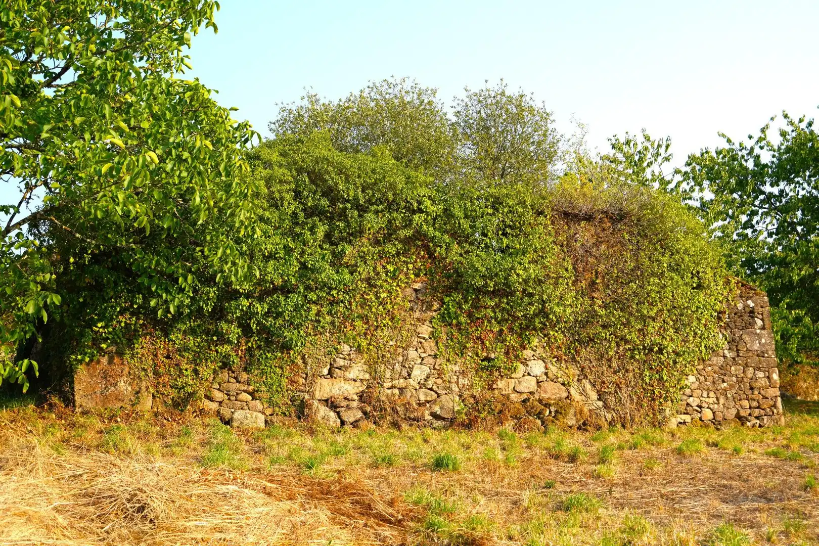 Lands and plots for sale in Lugar Estrada 521, imagen 11