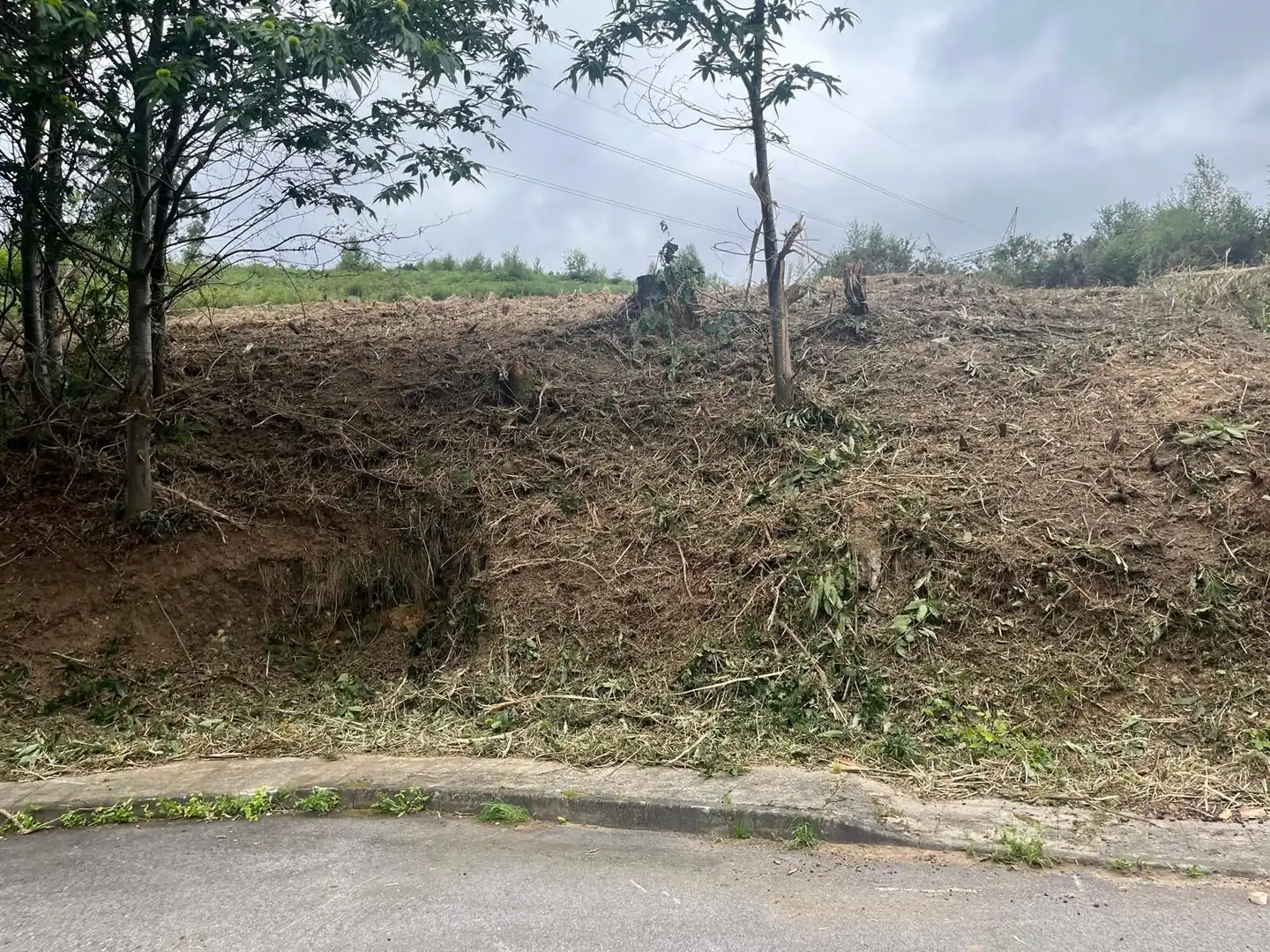Terrenos y solares en venta en Caxidi, imagen 2