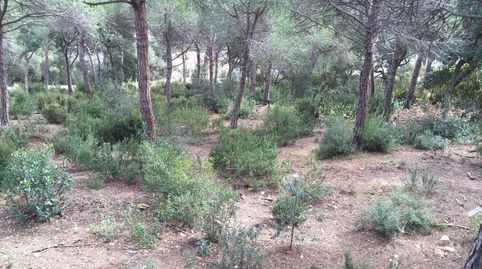 Gran terreno en Sant Daniel, Tordera  1.216 m2