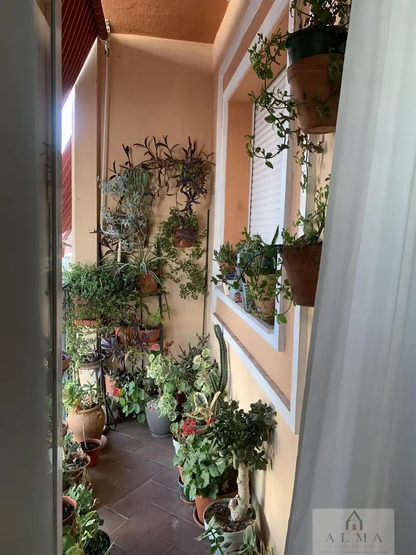 Appartement avec terrasse à vendre à Almendralejo, imagen 5