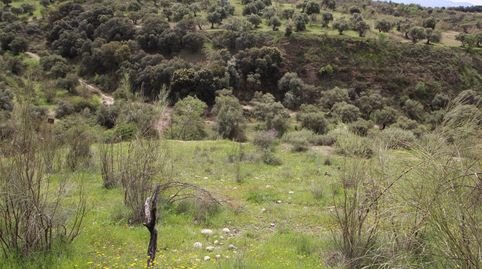 Photo 5 of Country homes for sale in Jun, Granada