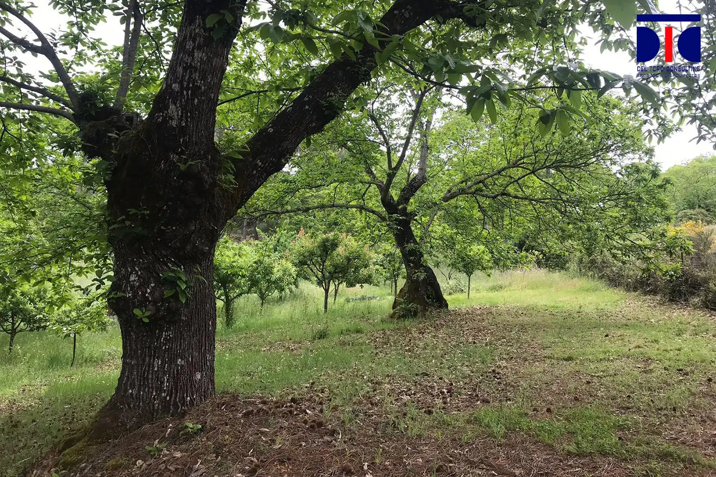 Finca rústica en venta en Fuenteheridos con Aire acondicionado, Calefacción y Jardín privado