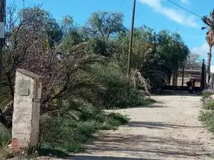 Vista exterior de Finca rústica en venta en Alicante / Alacant con Jardín privado, Terraza y Trastero