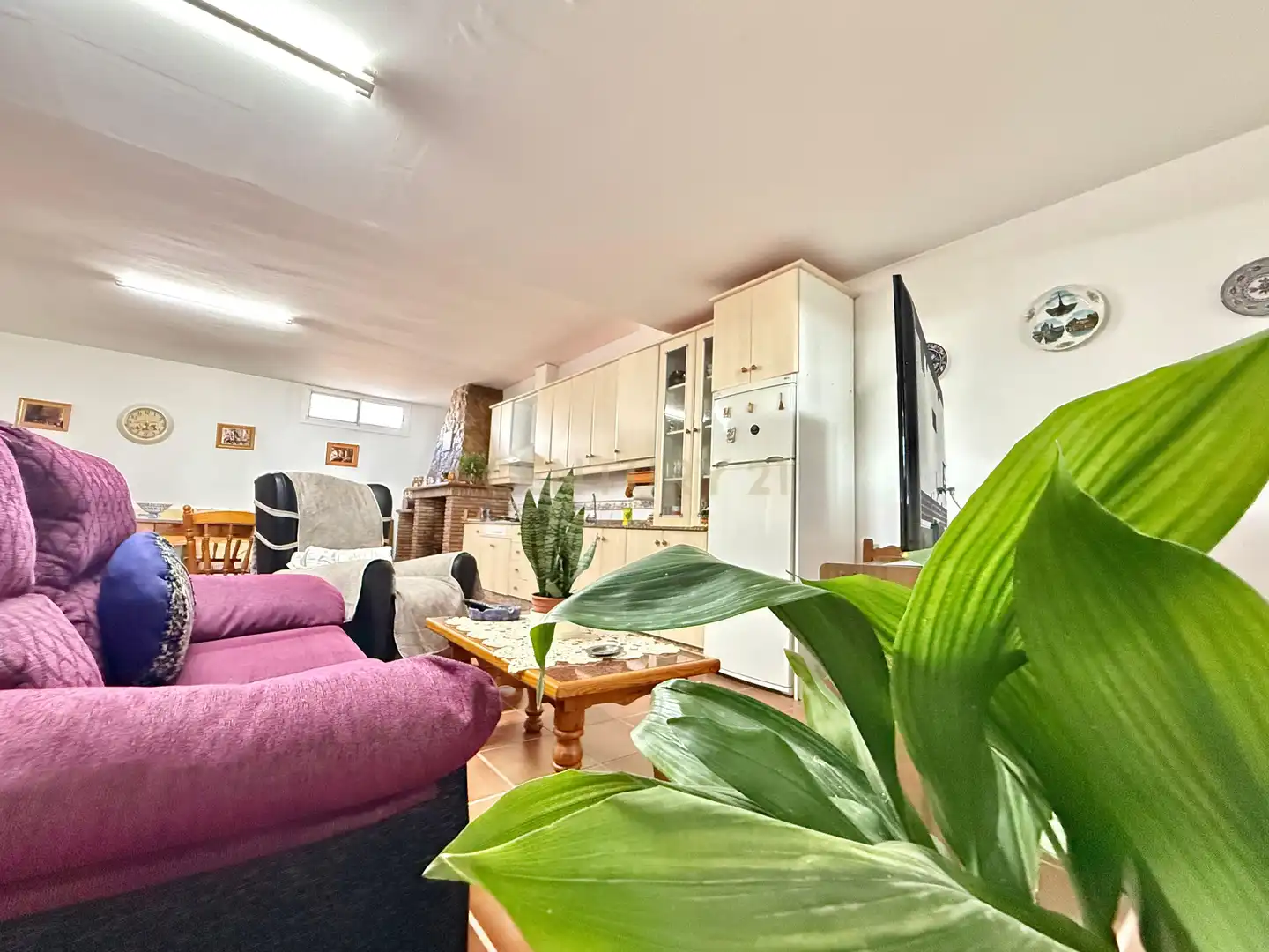 Casa amb jardí en venda a Berja, imagen 46