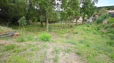 Foto 2 de Residencial de alquiler en Poble, Calonge i Sant Antoni