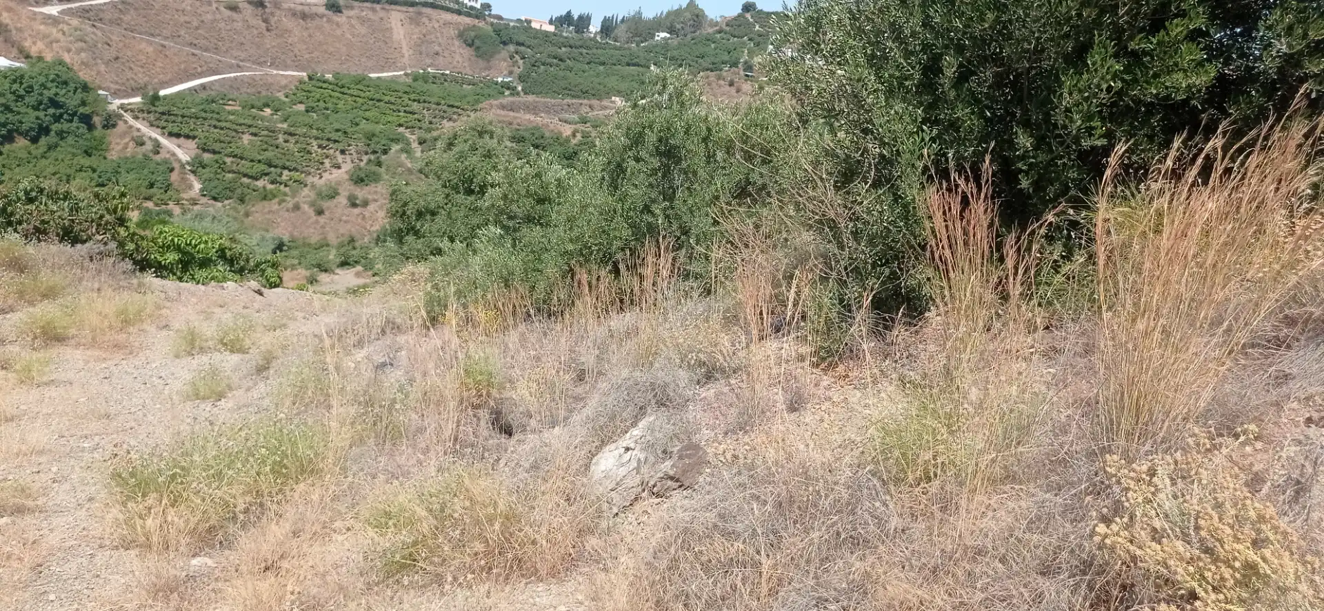 Terreny en venda en Vélez-Málaga