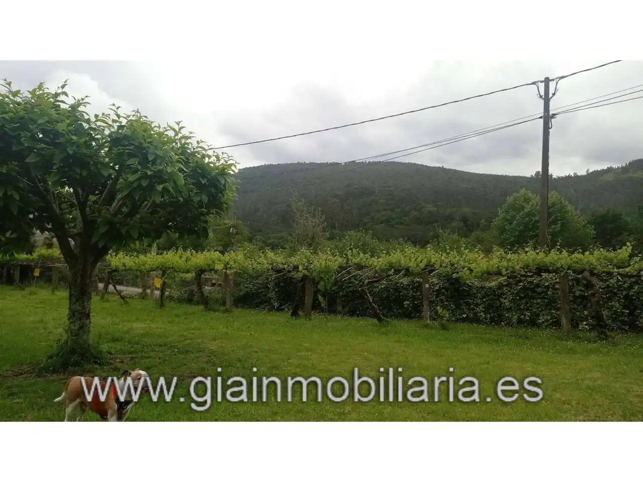 Country house zum Verkauf in Mondariz-Balneario