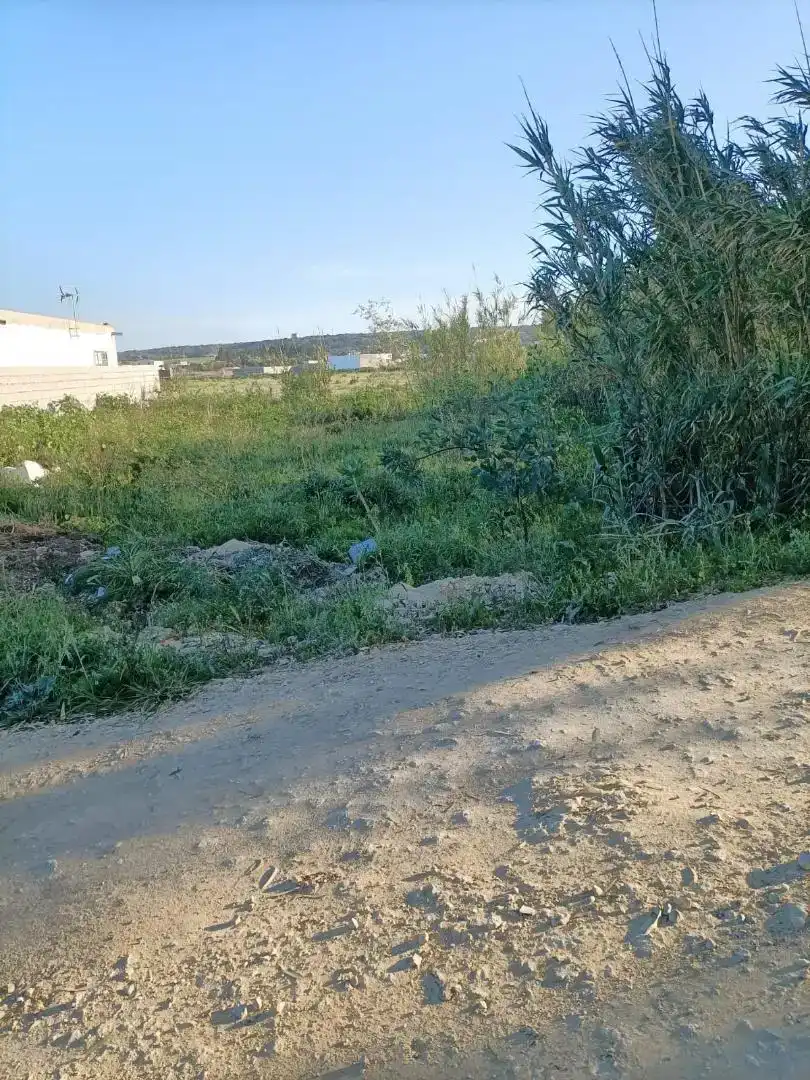 Finca rústica en venda en Barbate