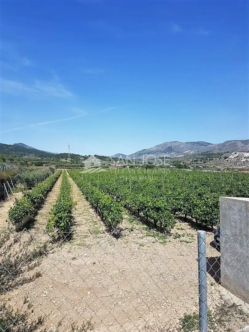 Terreny rústic en venda a La Romana
