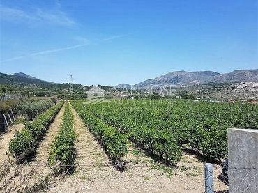 Terreny rústic en venda a La Romana
