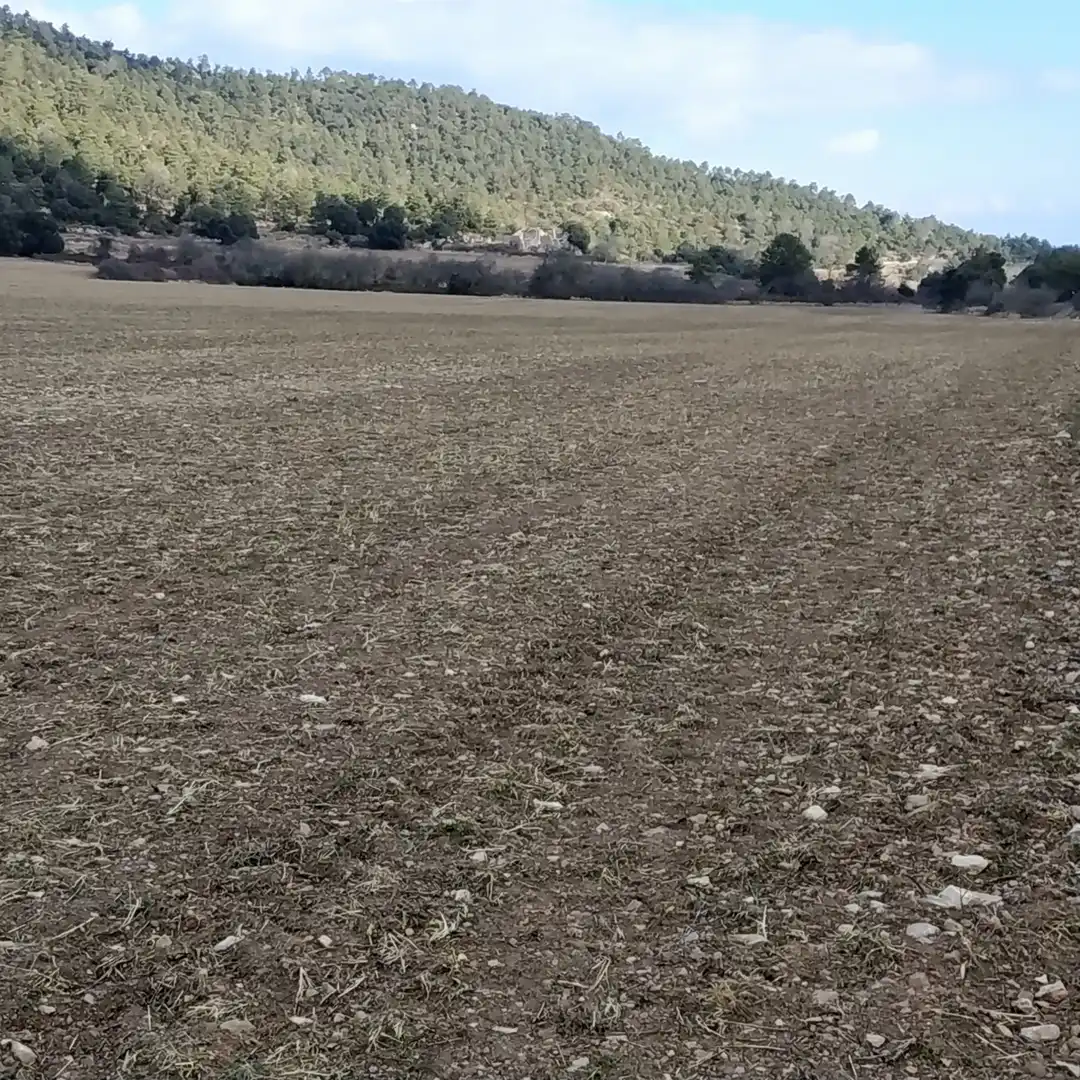 Terrain rustique à vendre à Passeig de la Mussara, imagen 5