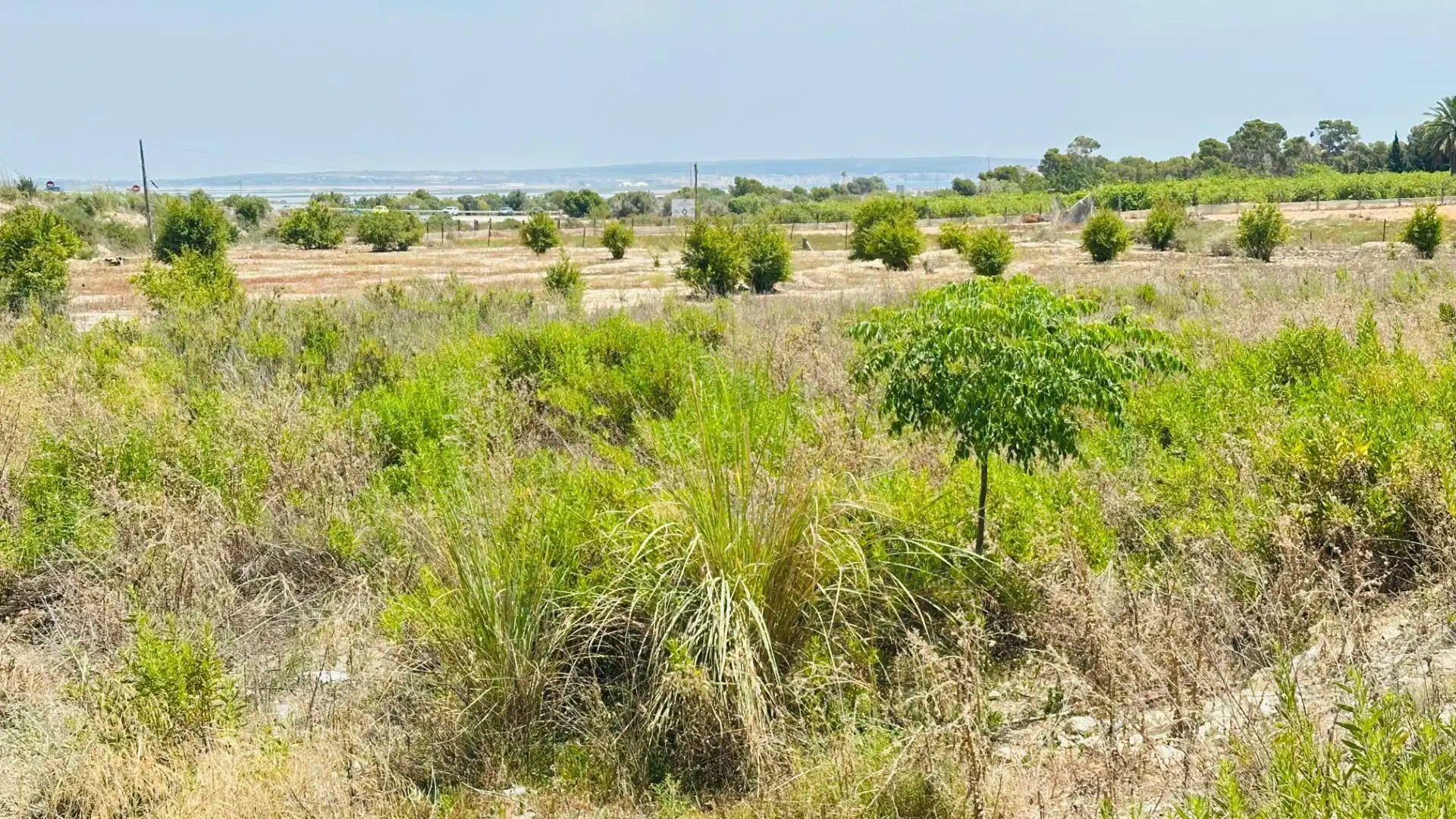 Terrain rustique à vendre à La Marina, imagen 2