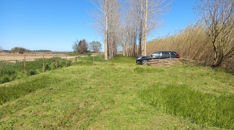 Terreny agrícola de regadiu