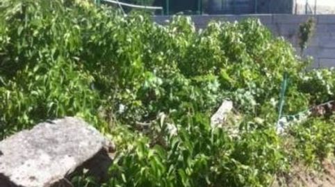 TERRENO EN OURENSE, imagen 5