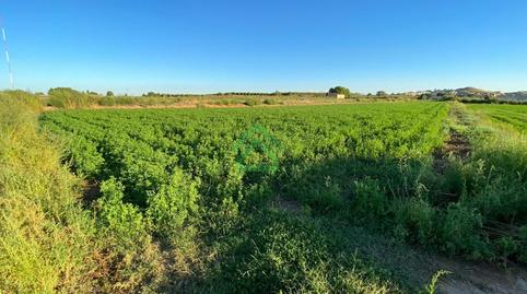 Photo 3 of House or chalet for sale in Calle Sitja, Alcoletge, Lleida