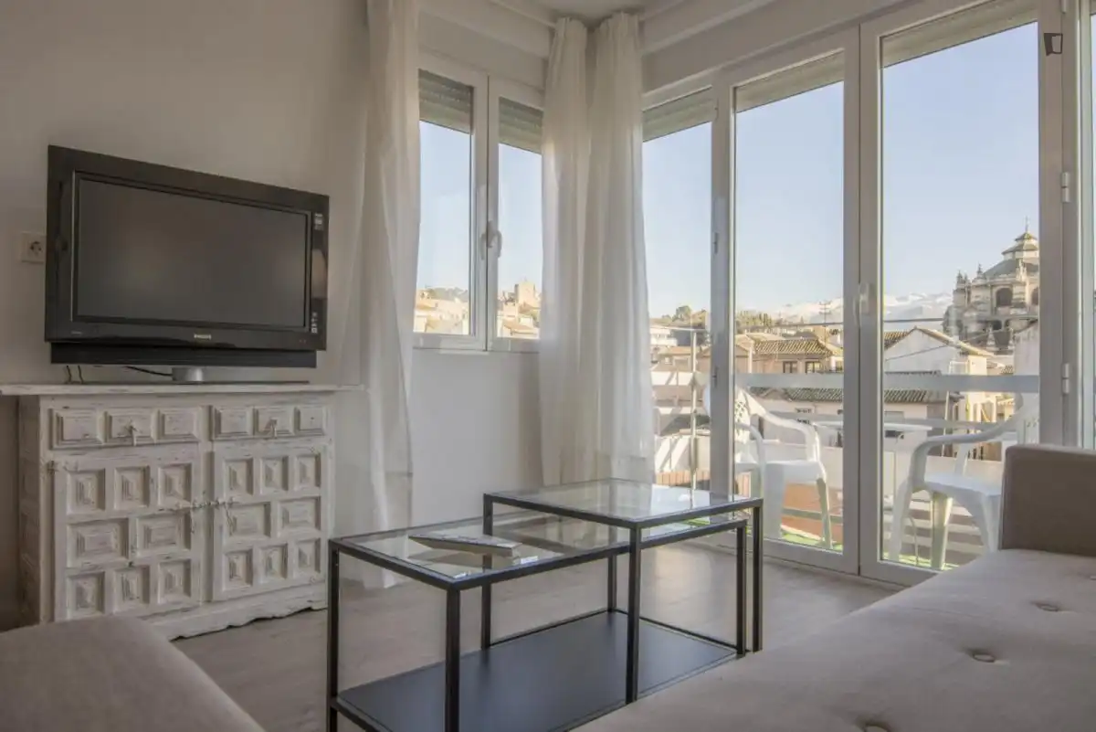Apartments for rent in Centro - Sagrario