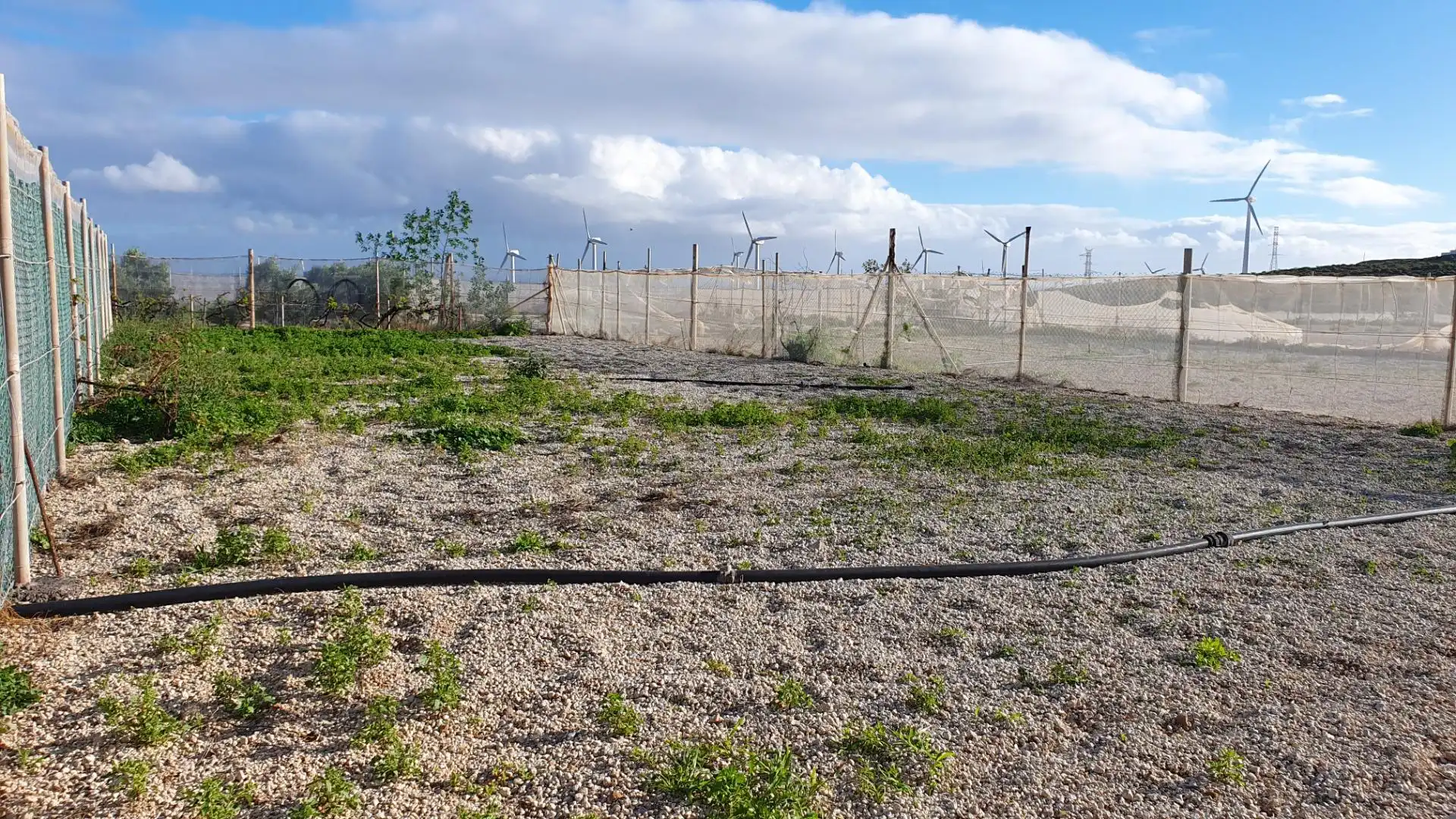 Terreno rustico in vendita a Arico, imagen 16