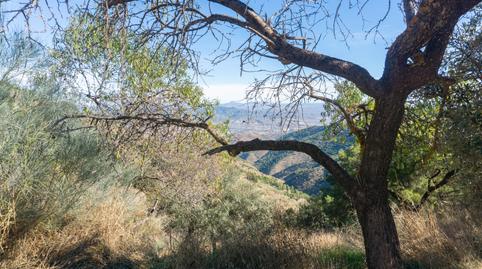 Foto 4 de Finca rústica en venda a Purchena, Almería