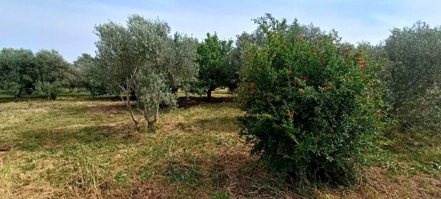 Finca rústica en venta en Mendavia con Jardín privado