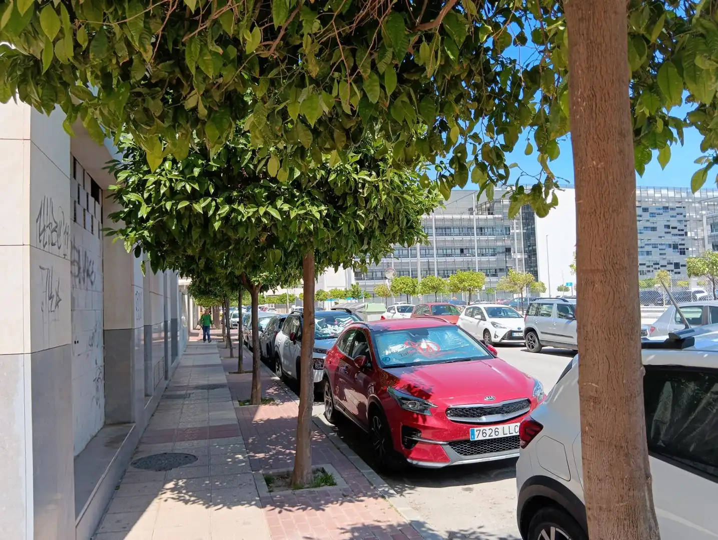 Parkplatz von Geschaftsraum zum Verkauf in Murcia