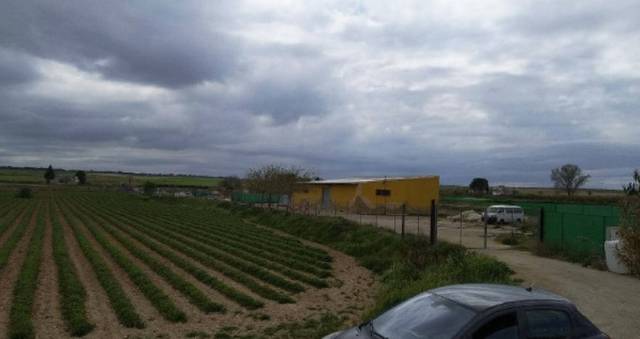 Nave industrial en Venta en Pr Partido de Singla en Sevilleja de la Jara