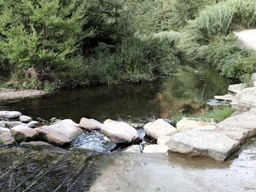 Rural land for sale in Polígono Polígono 10 Parcela 38 EL CASTELL. CASTELLAR DEL 38