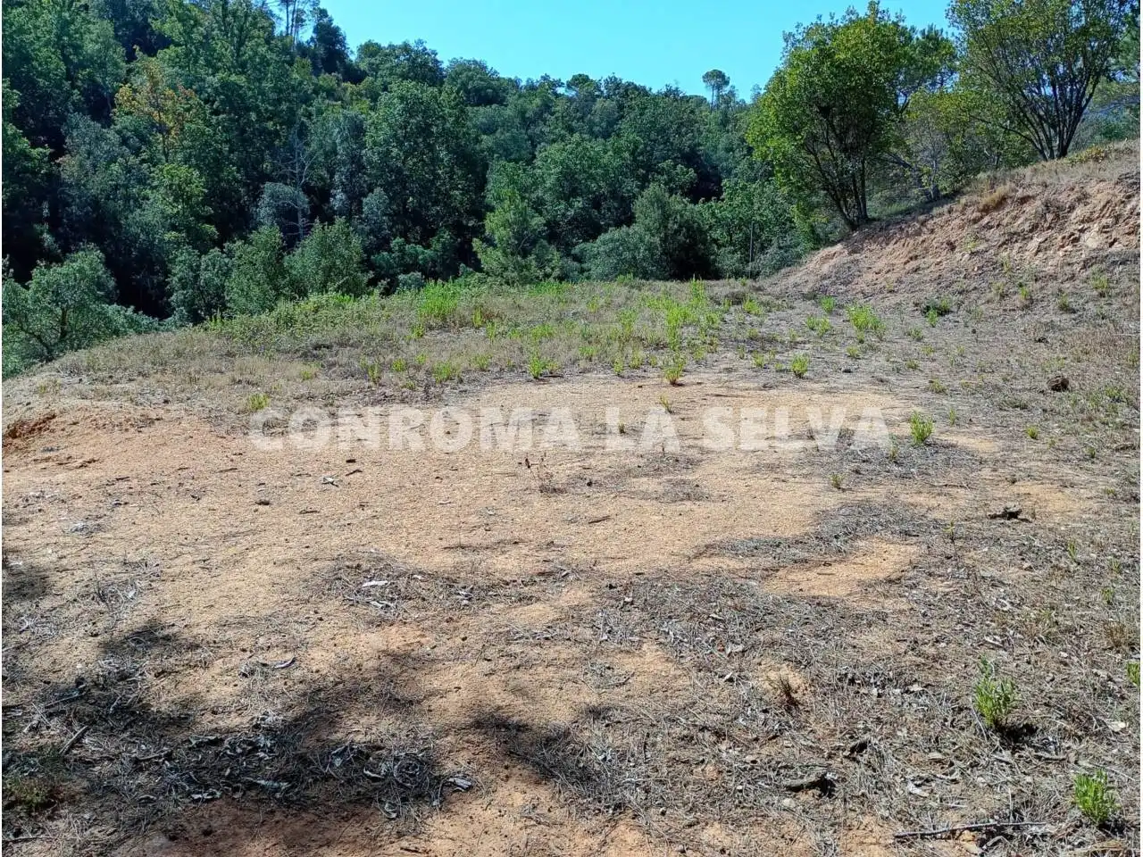 Rustikales Grundstück zum Verkauf in Niàgara Parc - Àgora Parc, imagen 2