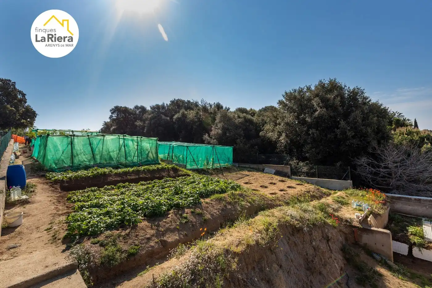 Garden of Residential for sale in Arenys de Mar