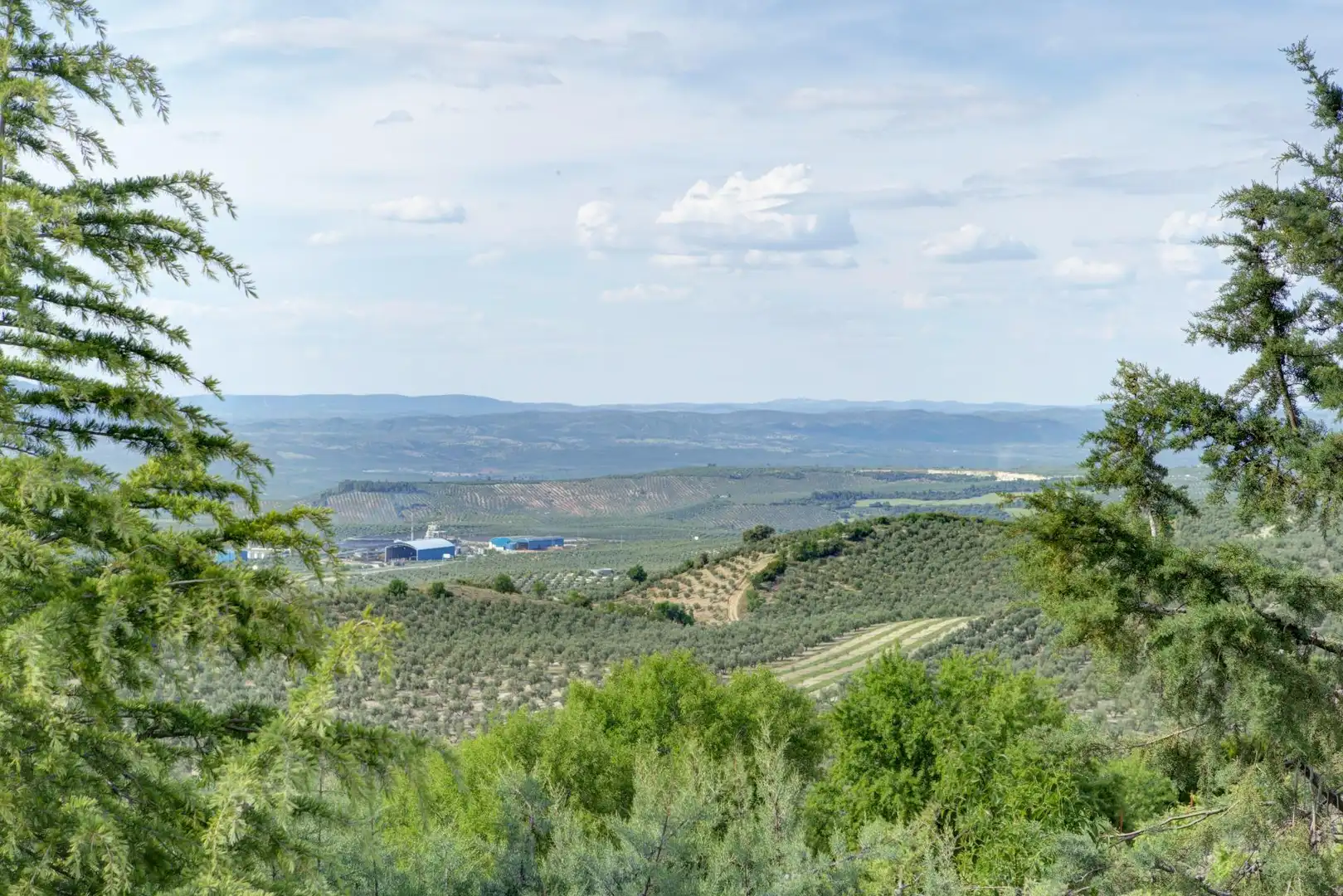 Casa o xalet en venda en Jaén amb Jardí privat, Terrassa i Piscina