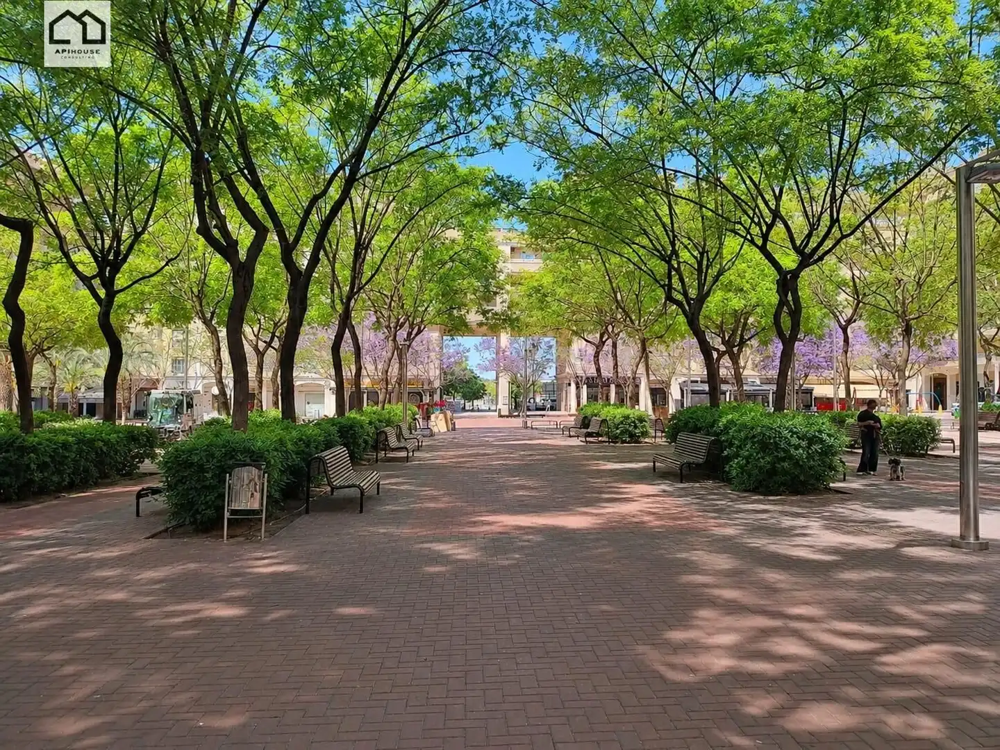 Vista exterior de Piso en venta en Elche / Elx con Aire acondicionado y Terraza