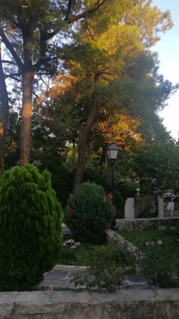 Garden of Houses for sale in Alpedrete  with Private garden, Terrace and Storage room