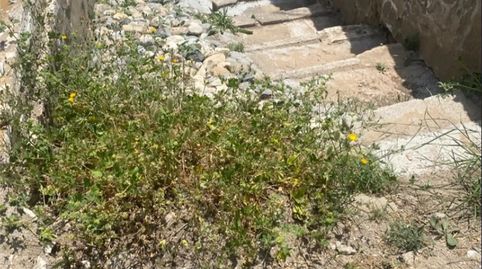 Foto 4 de Finca rústica en venta en Paraje Simones, 24, Albox, Almería