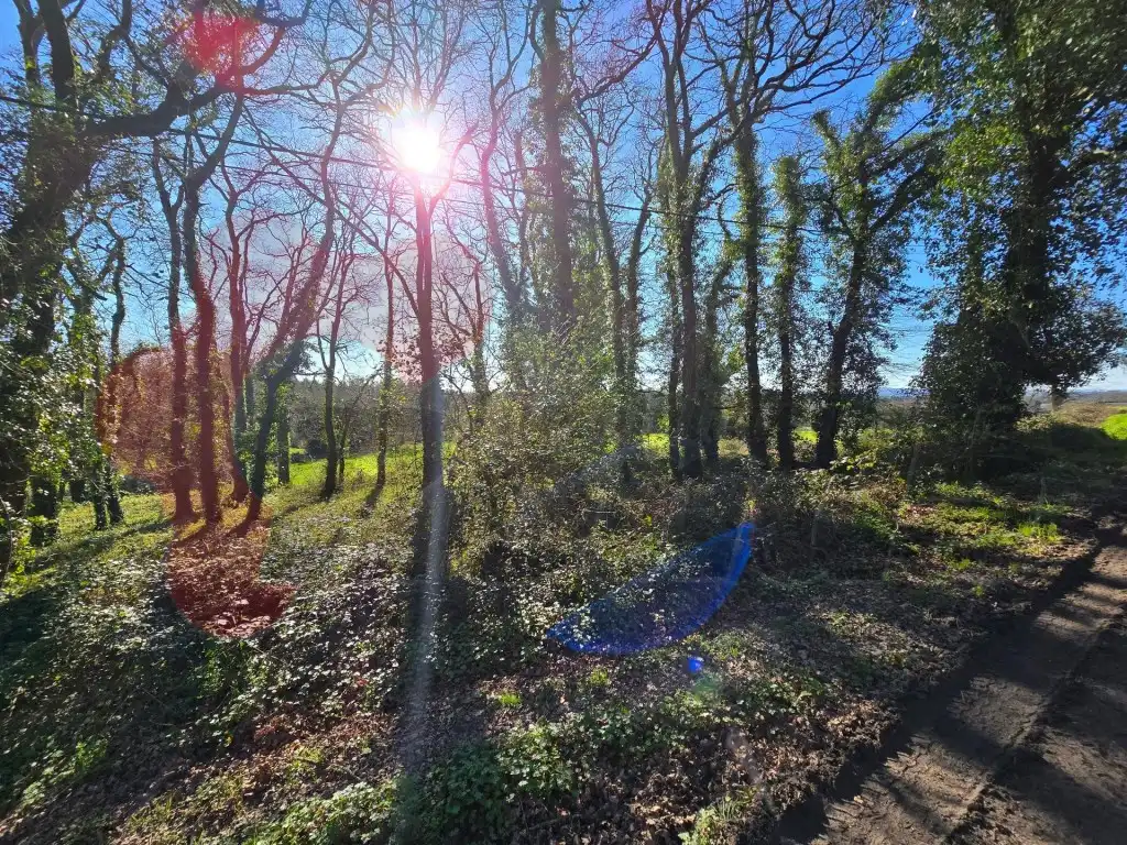Grundstücke und Bauplätze zum Verkauf in Poligono 103 Paraje 14373 Peneliña, imagen 11