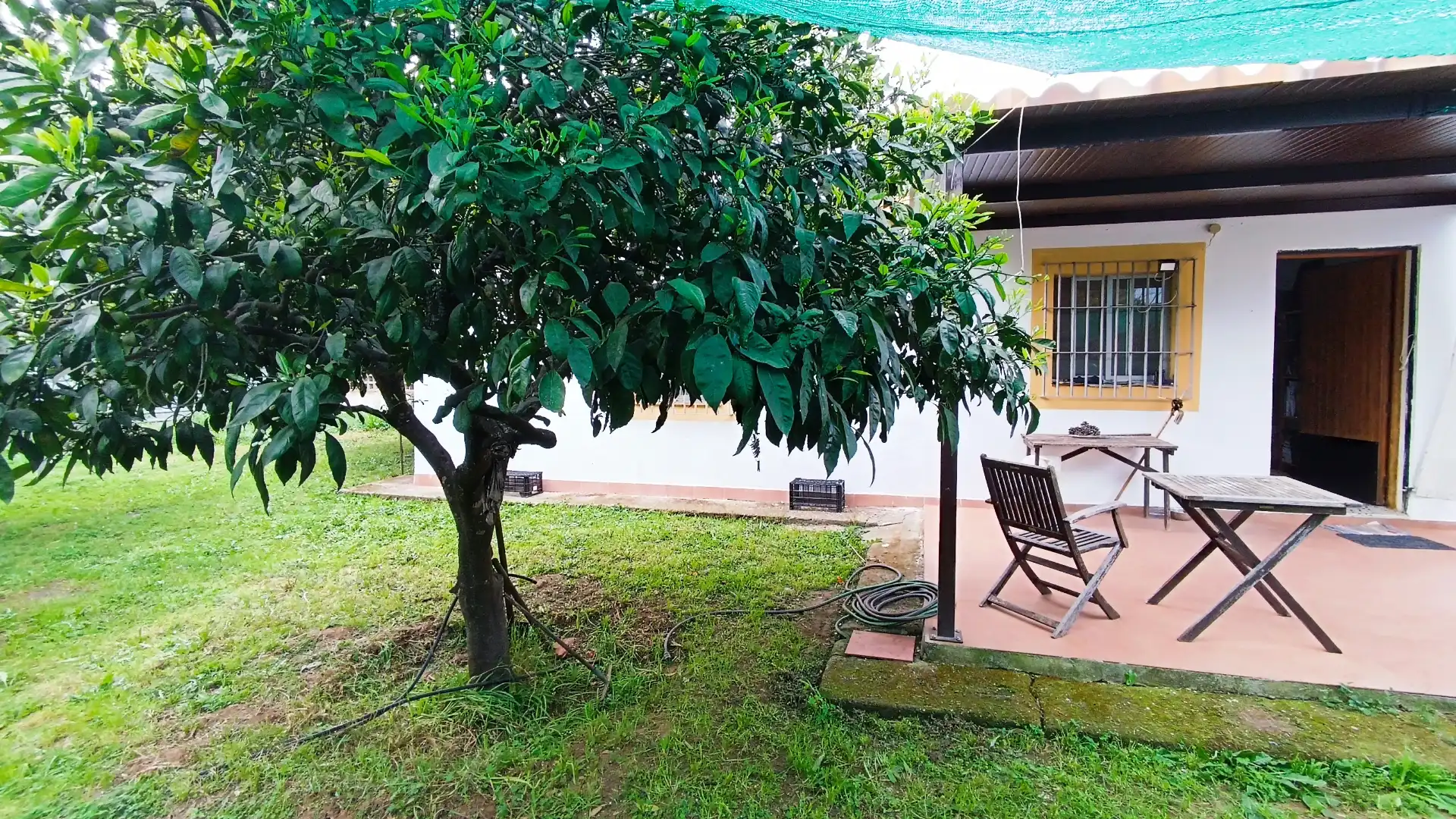 Finca rústica en venta en El Juncal - Vallealto