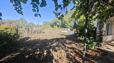 Foto 4 de Finca rústica en venda a Parcela con Casa y Piscina, Zona Sur - Av. de España - San Miguel, Cáceres