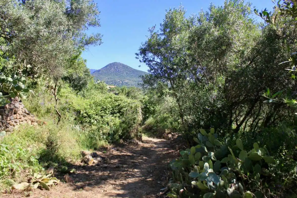 Vista exterior de Casa o xalet en venda en Sant Climent Sescebes